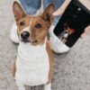 Custom Pet Phone Case