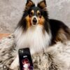 Custom Pet Phone Case - Image 6