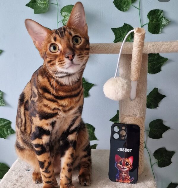 Custom Pet Phone Case - Image 4